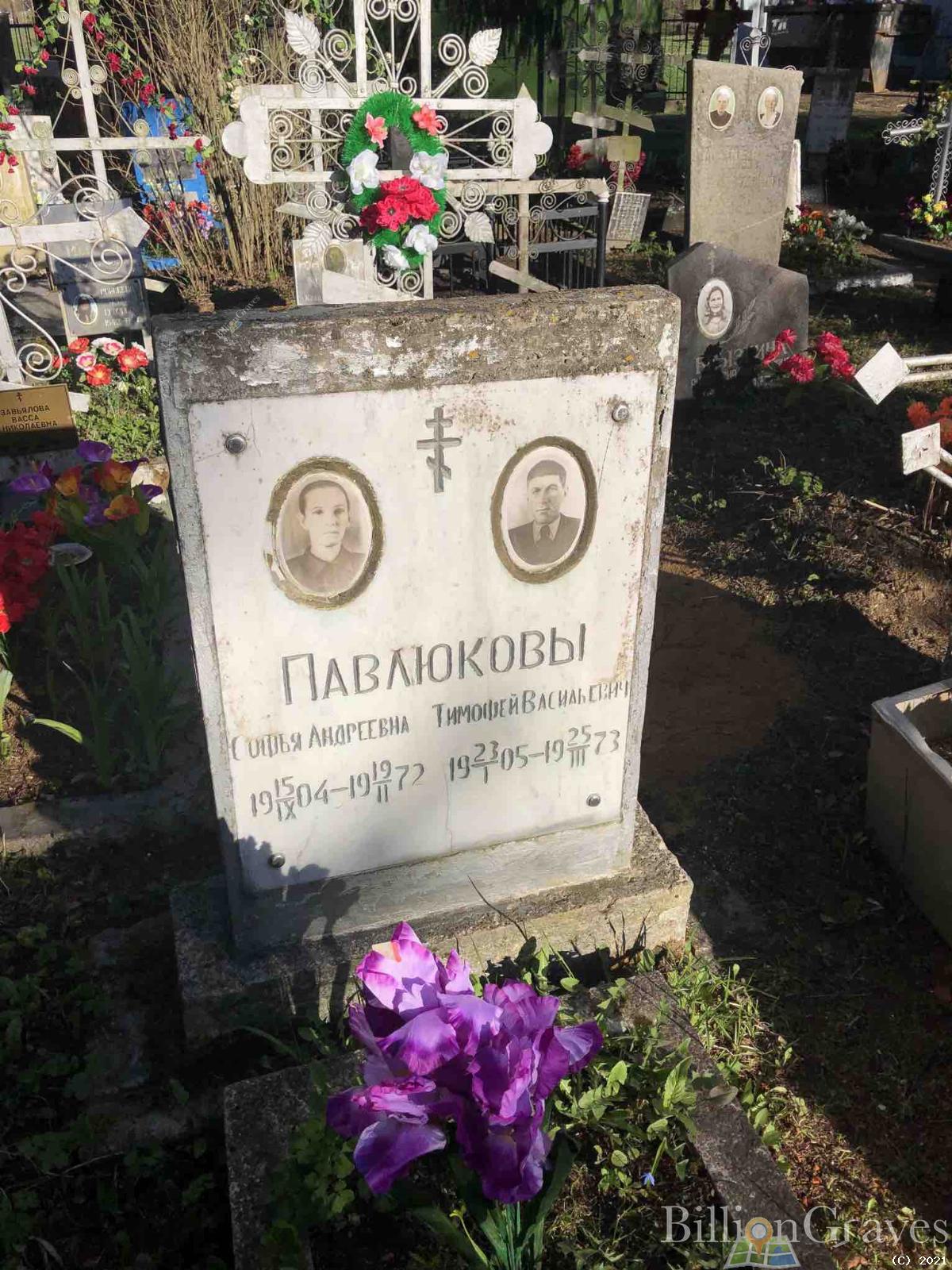 Павлюков Тимофей Васильевич