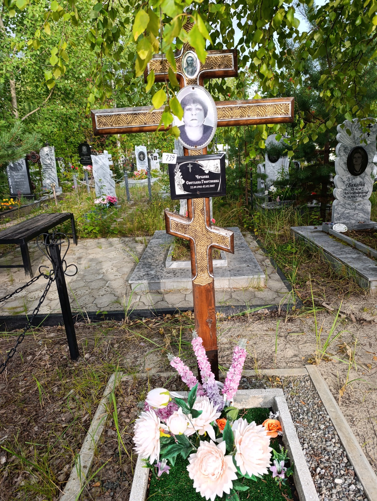 Чичаева Светлана Георгиевна