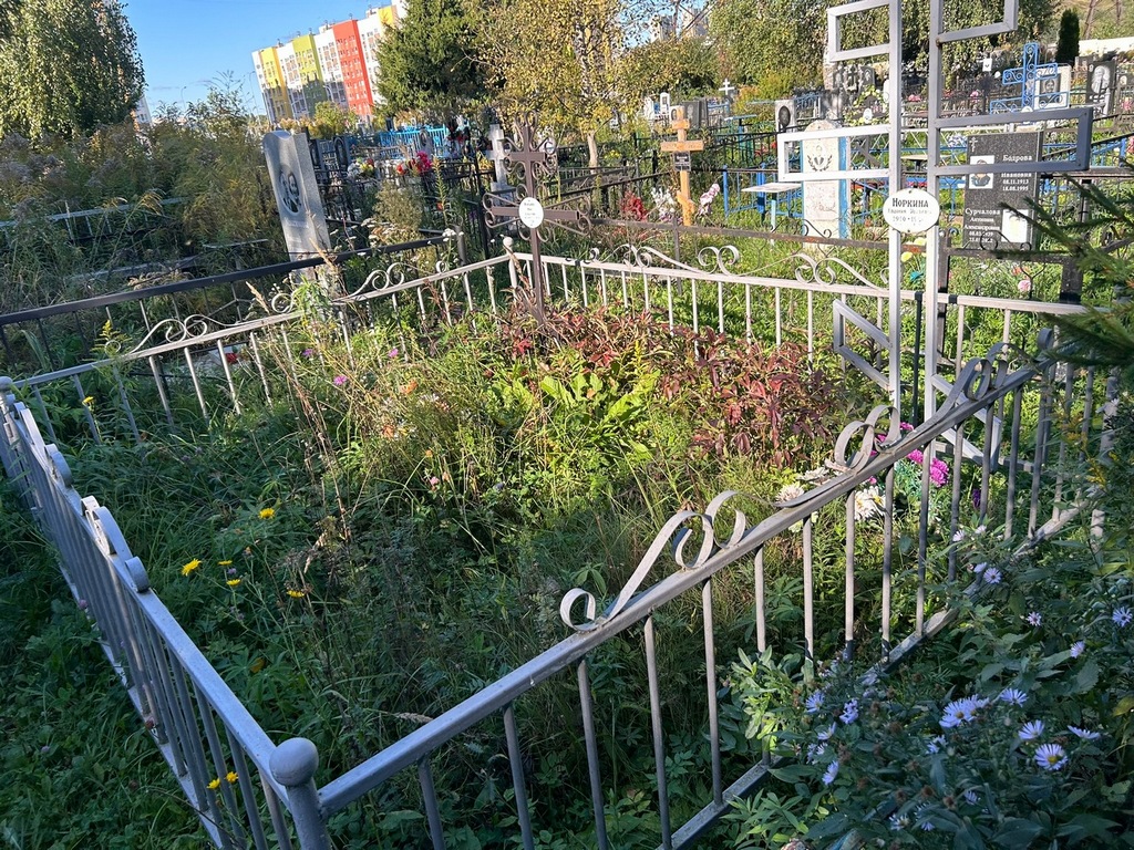 Норкина Евдокия Ивановна