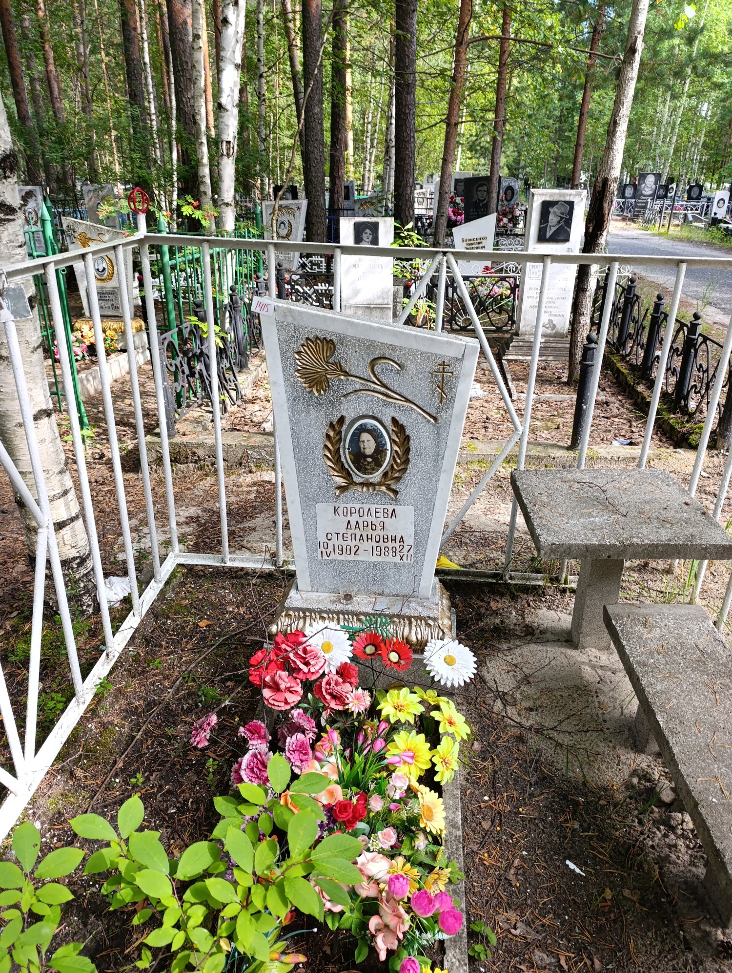 Королева Дарья Степановна