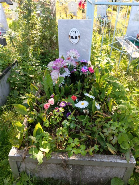 Чесноков Дмитрий Михайлович