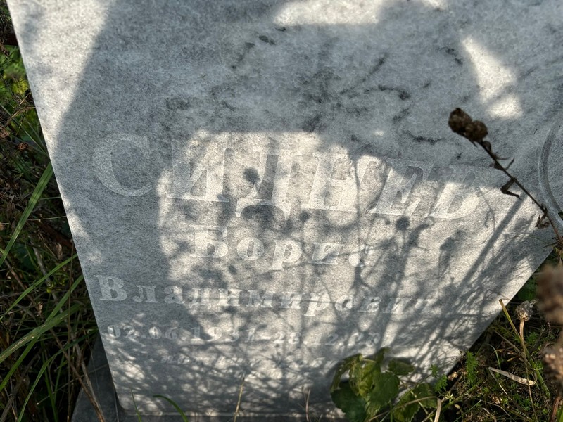 Сиднев