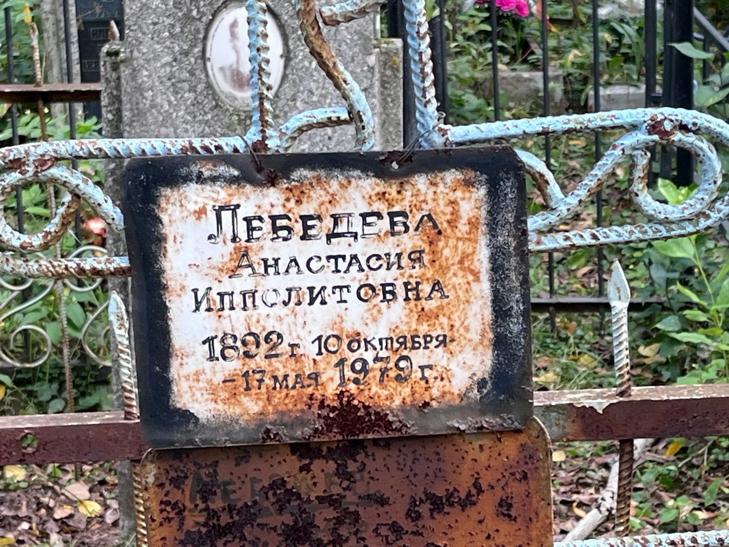 Лебедева Анастасия Ипполитовна