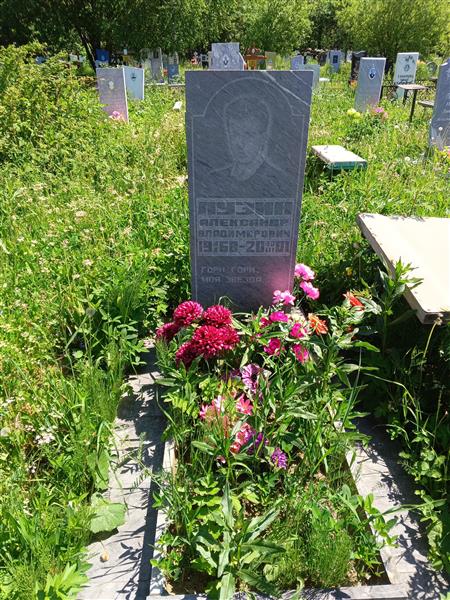 Лузин Александр Владимирович