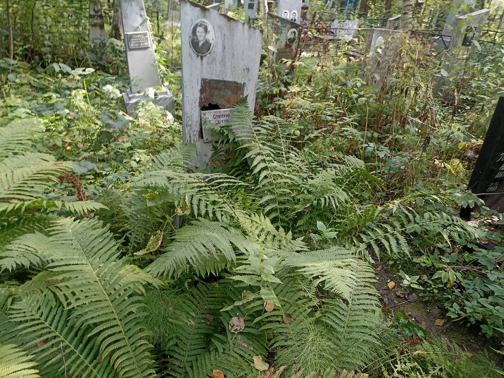 Спасский Сергей Борисович