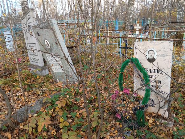 Шевченко Александра Викторовна