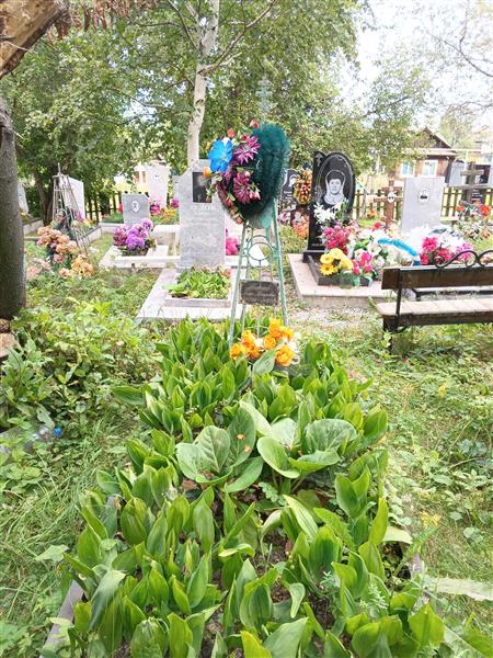 Тюменёв Петр Петрович