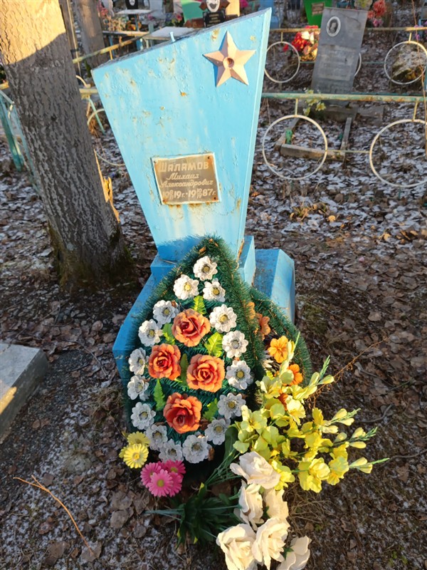 Шаламов Михаил Александрович