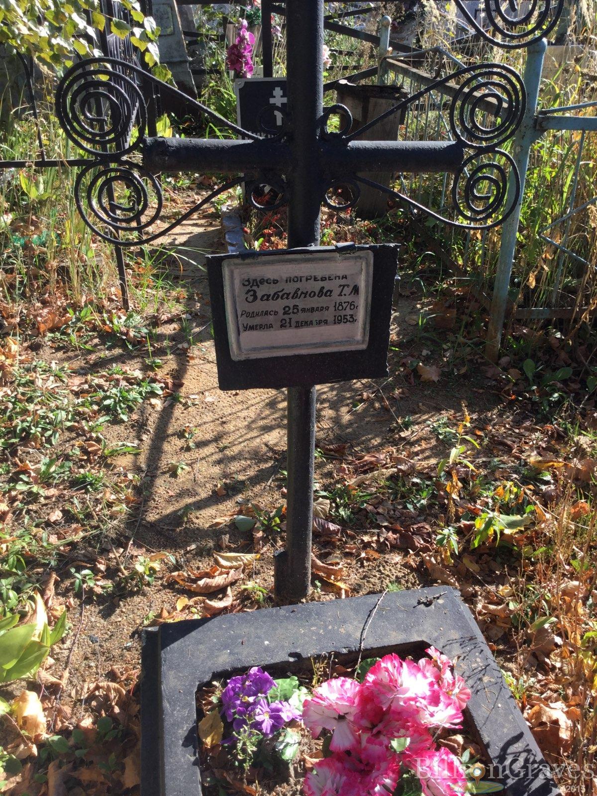 Забавнова Т. М.