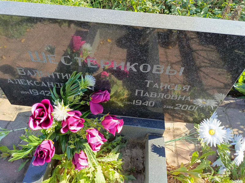 Шестериков