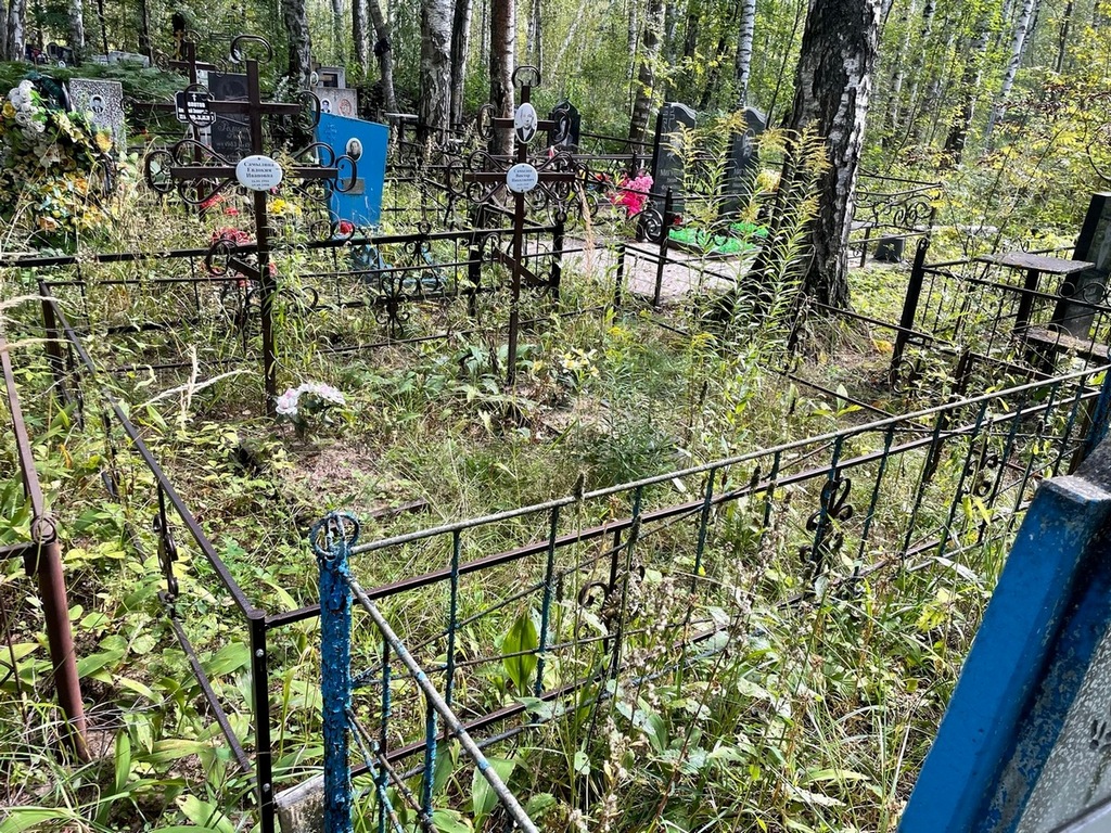 Самылин Виктор Николаевич