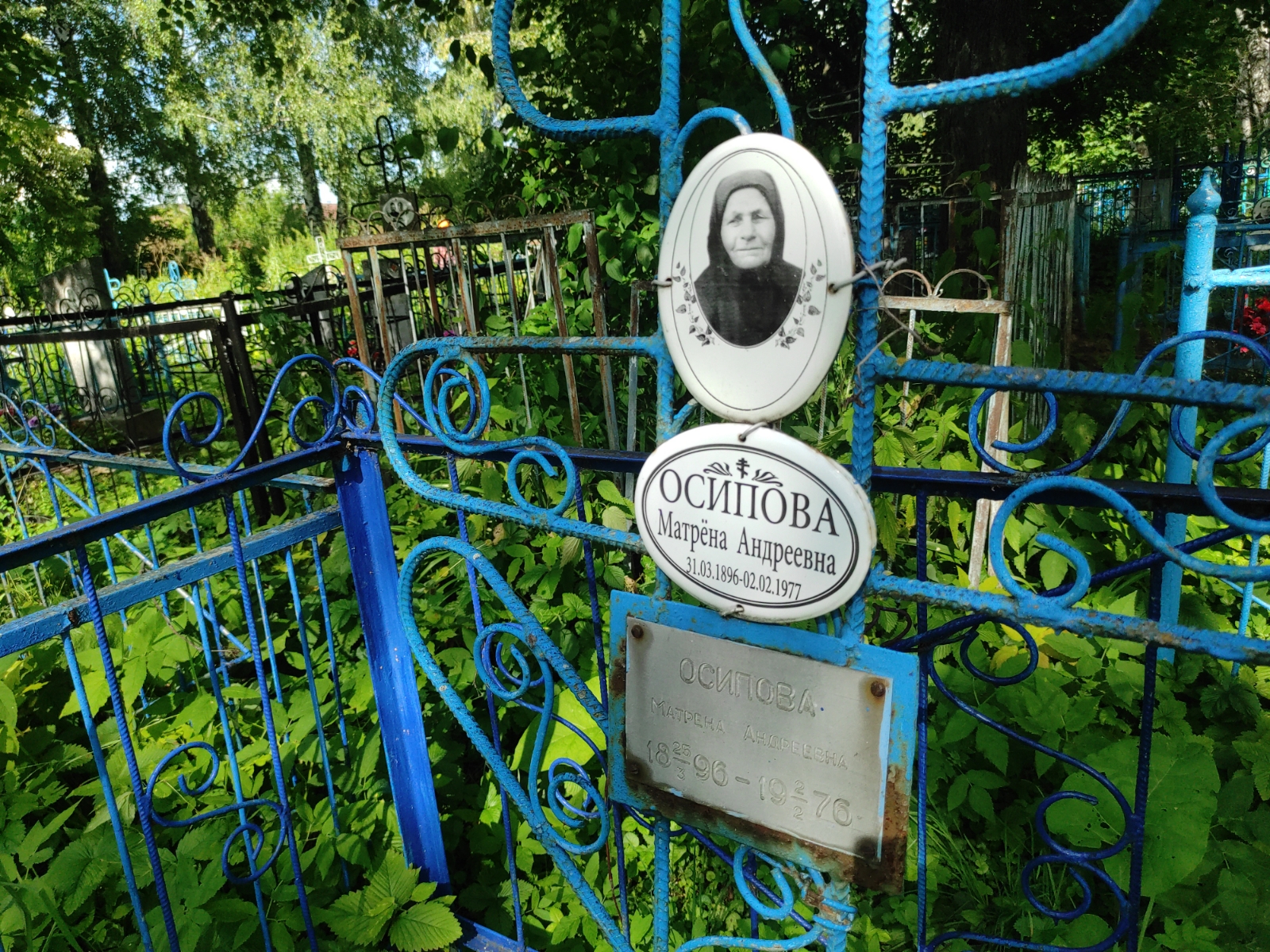 Осипова Матрена Андреевна