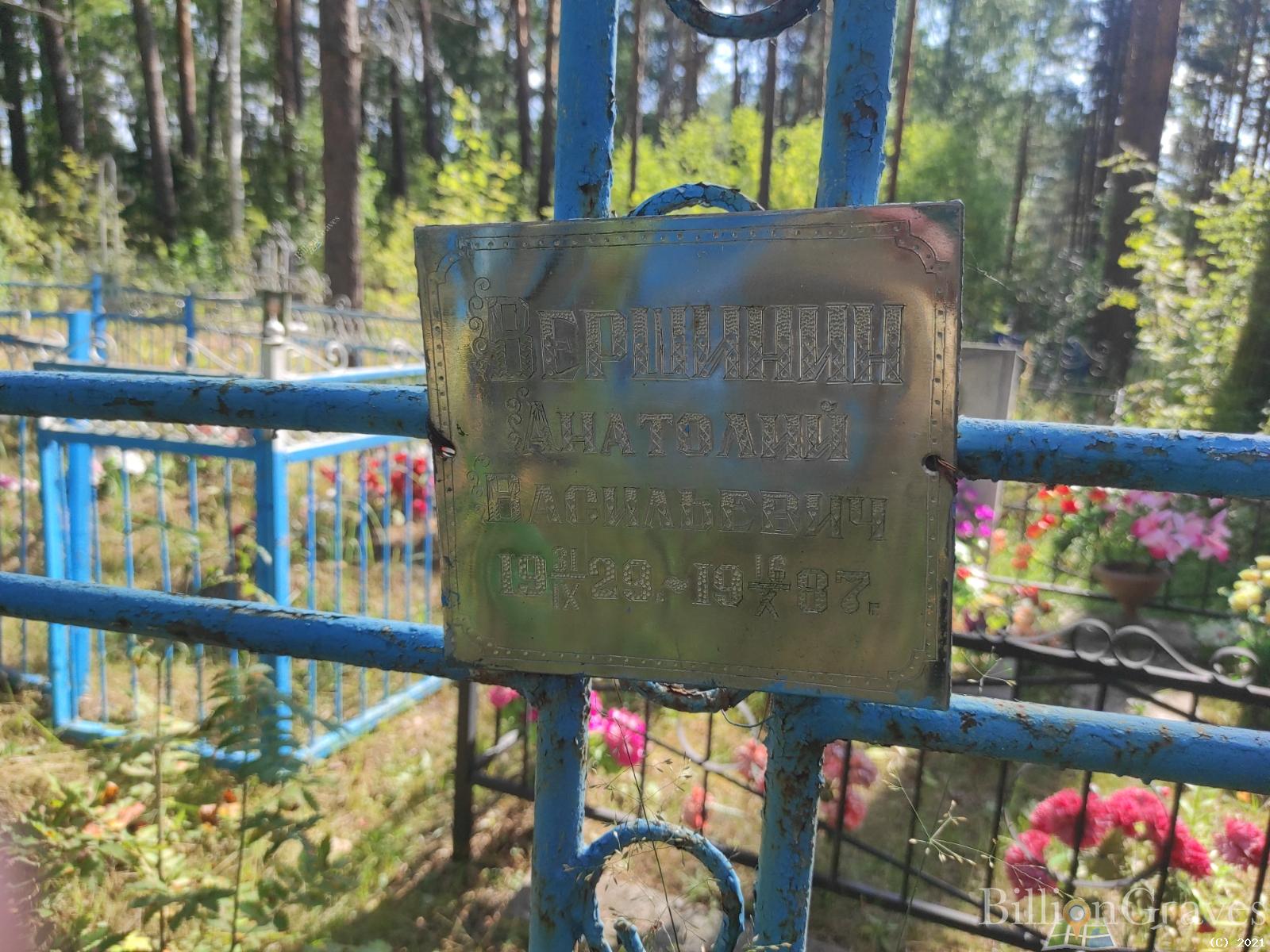 Вершинин Анатолий Васильевич