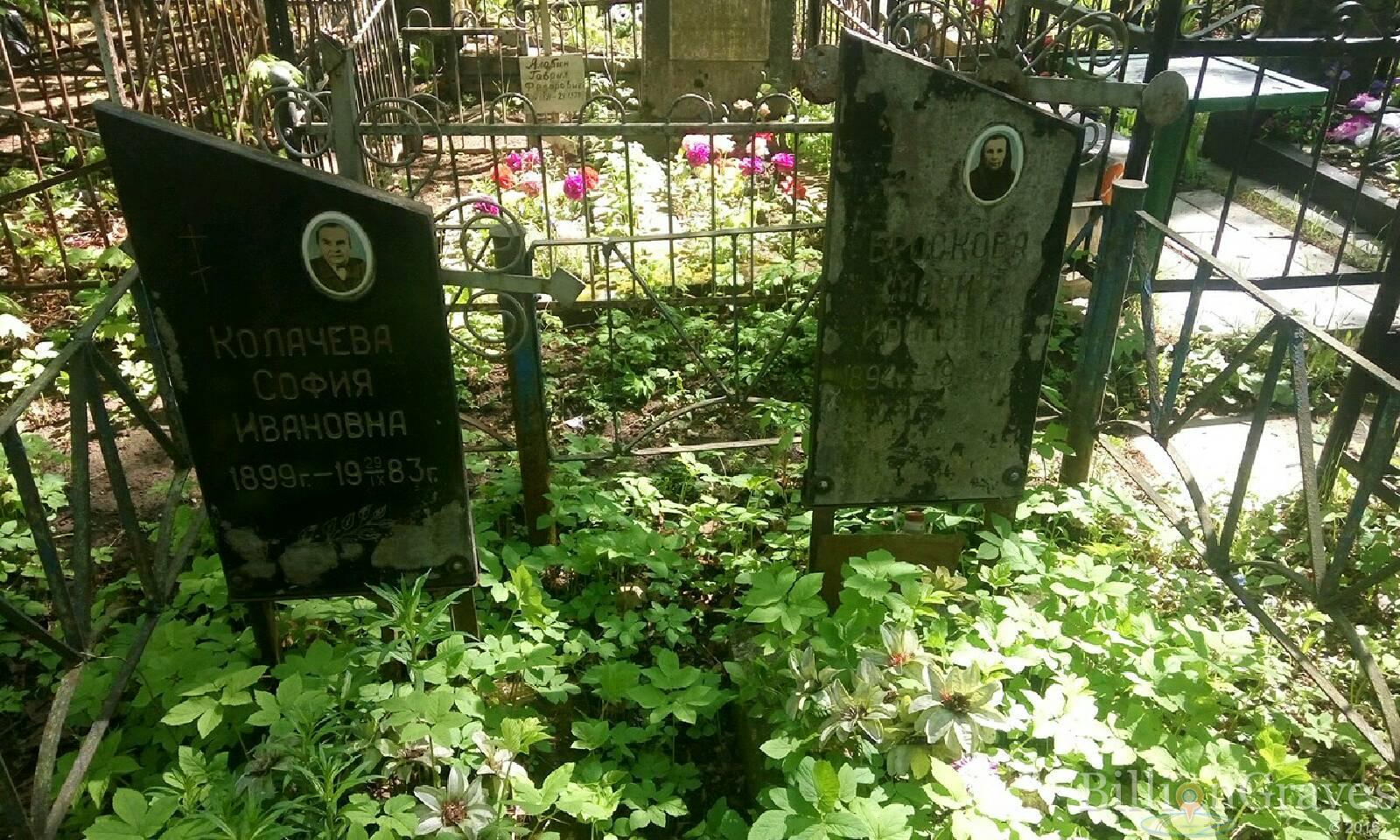 колачева софия ивановна