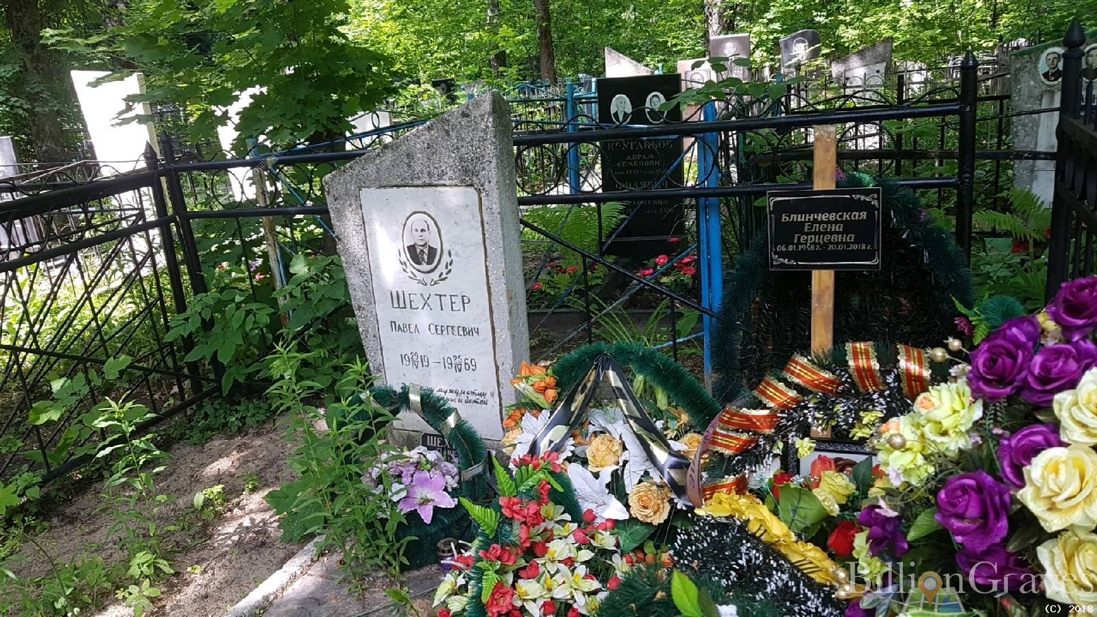 блинчевская елена