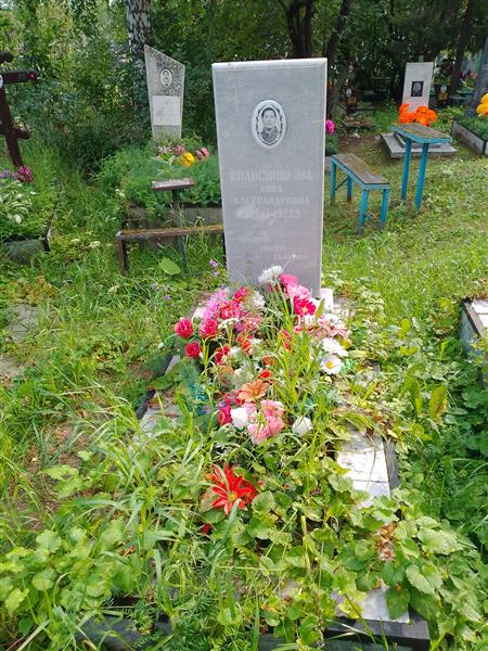 Колосницына Анна Александровна