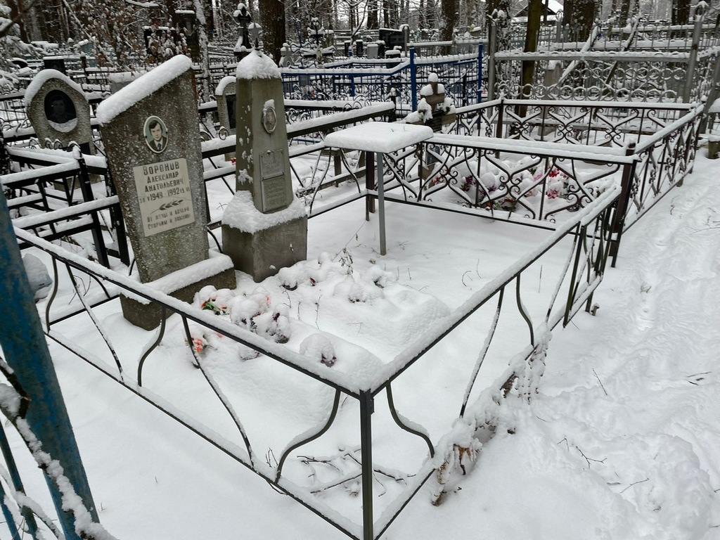 Воронов Александр Анатольевич