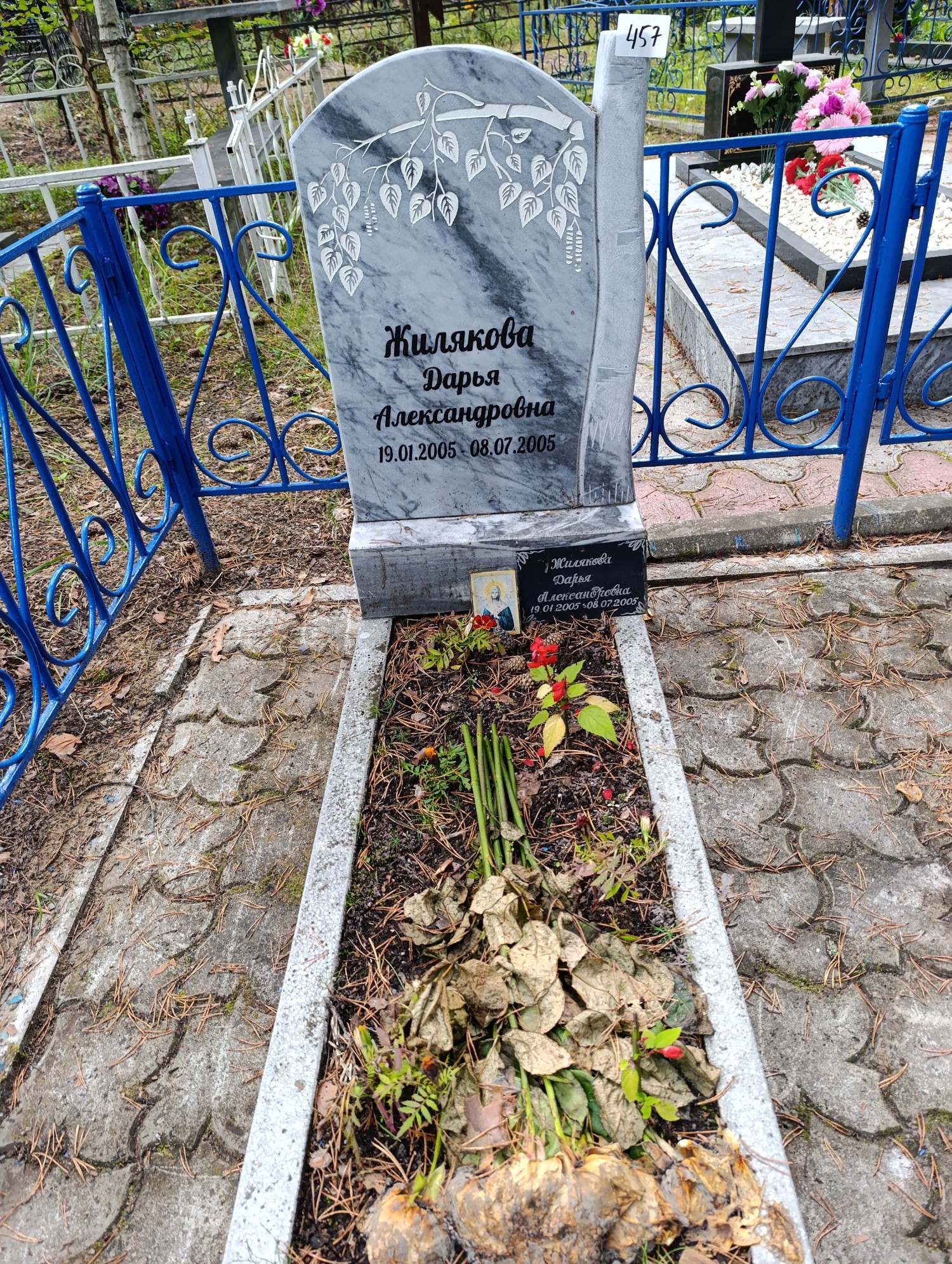 Жилякова Дарья Александровна