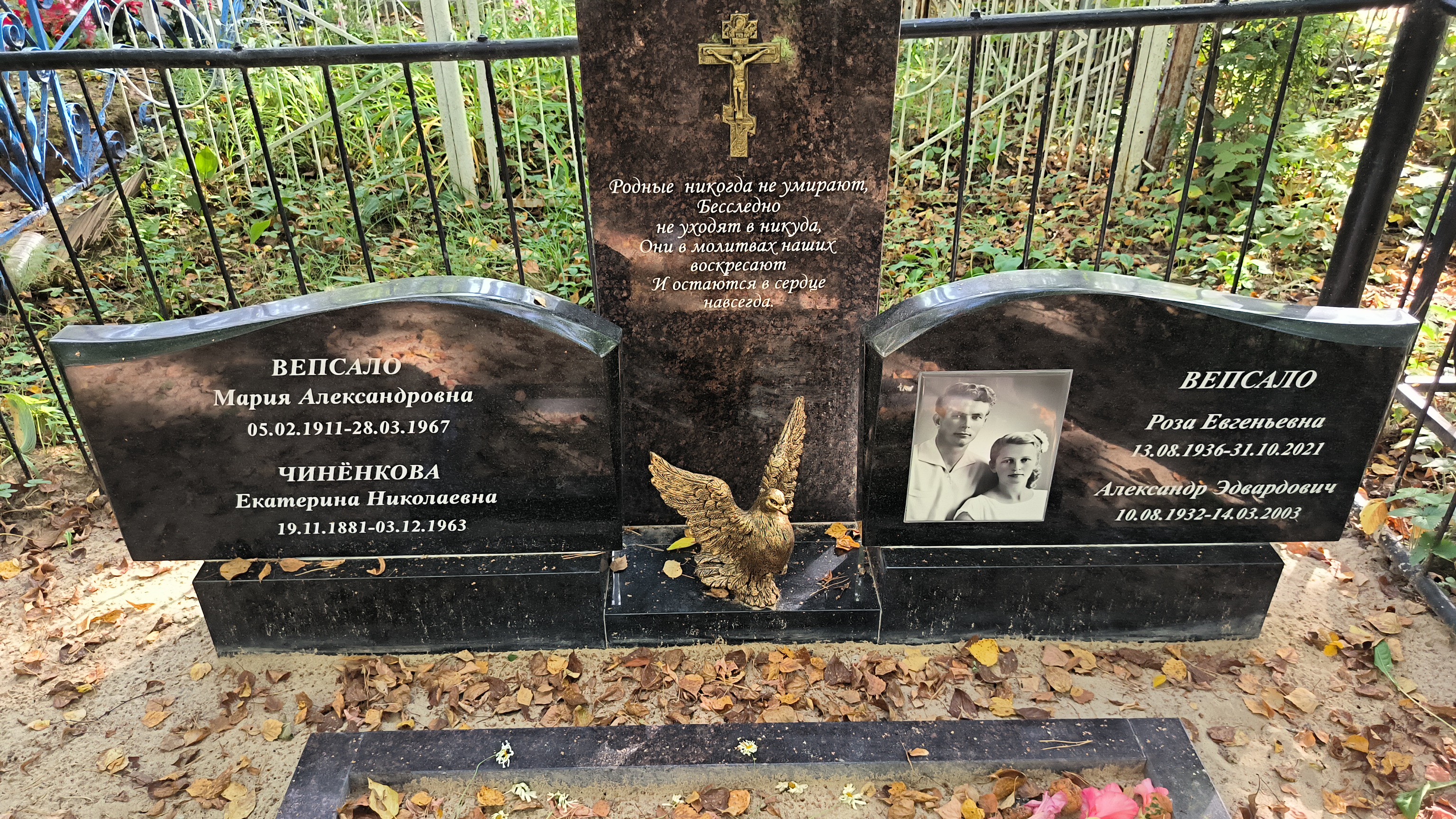 Вепсало Александр Эдвардович