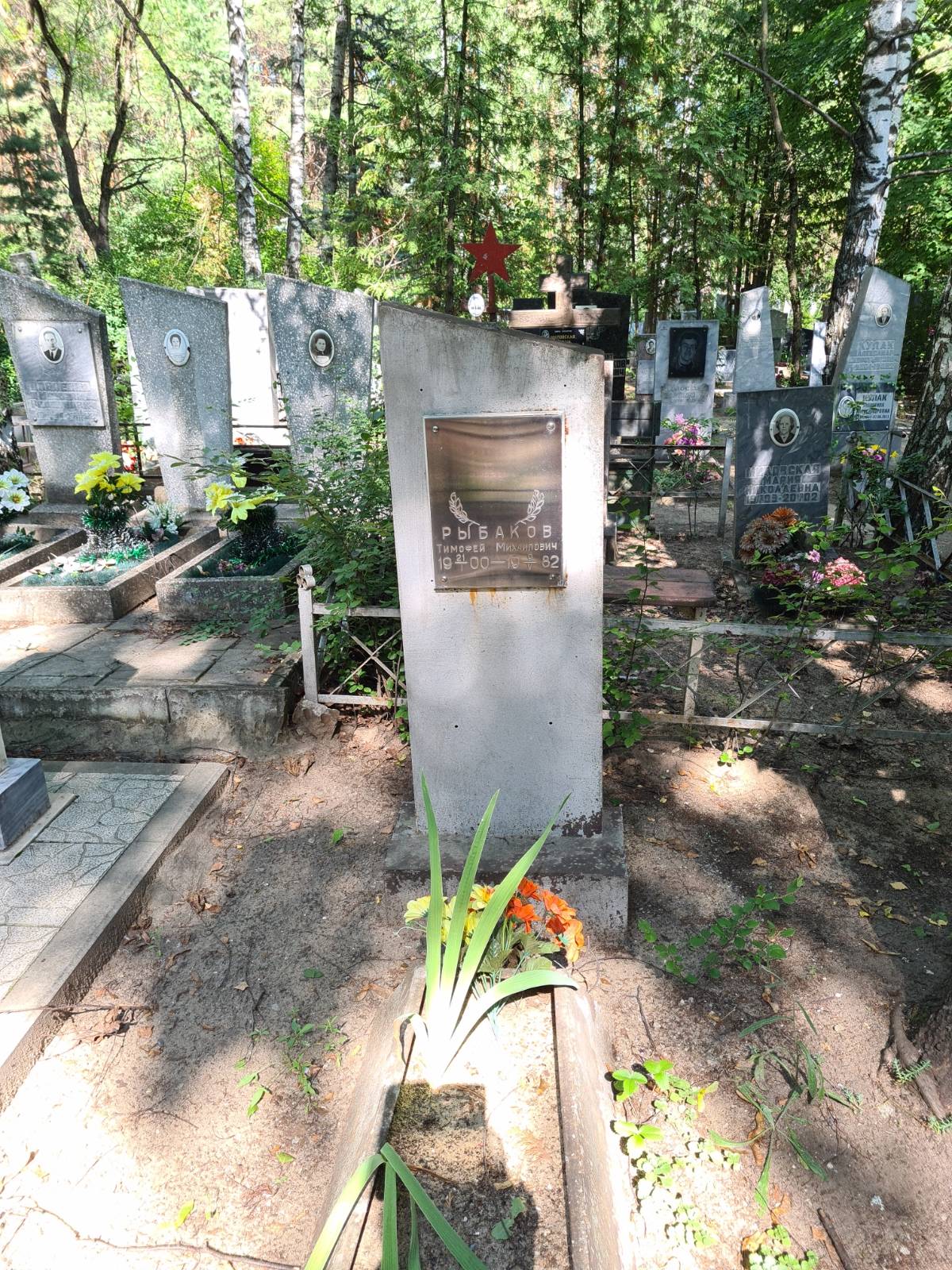 Рыбаков Тимофей Михайлович