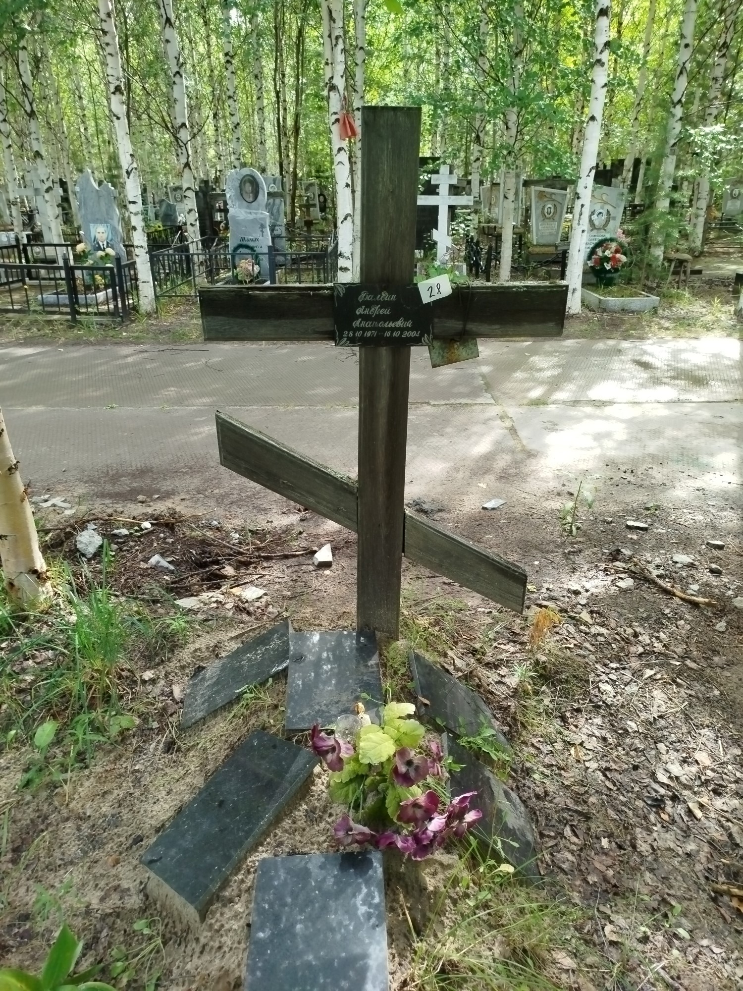 Балдин Андрей Анатольевич