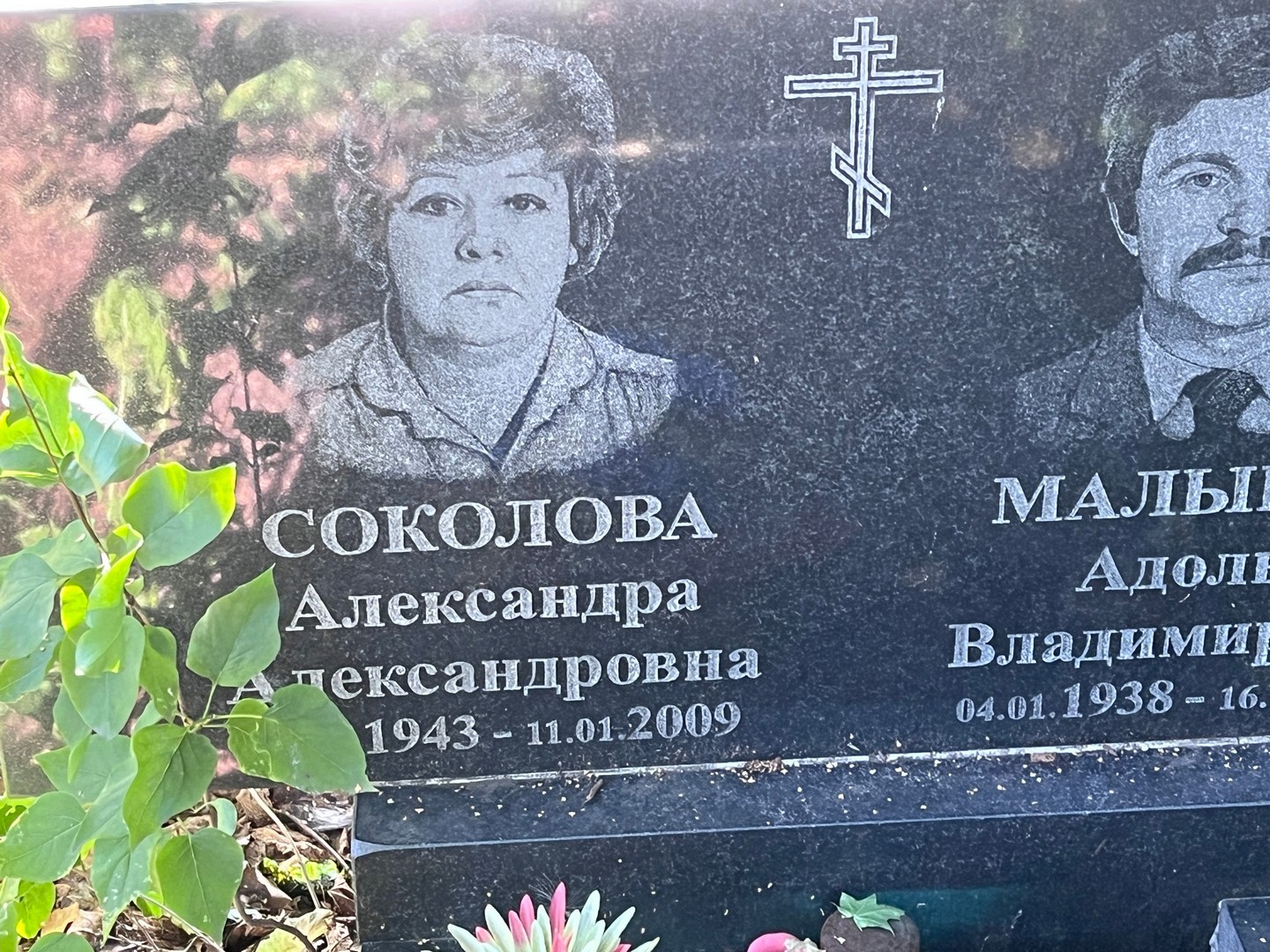 Соколова Александра Александровна