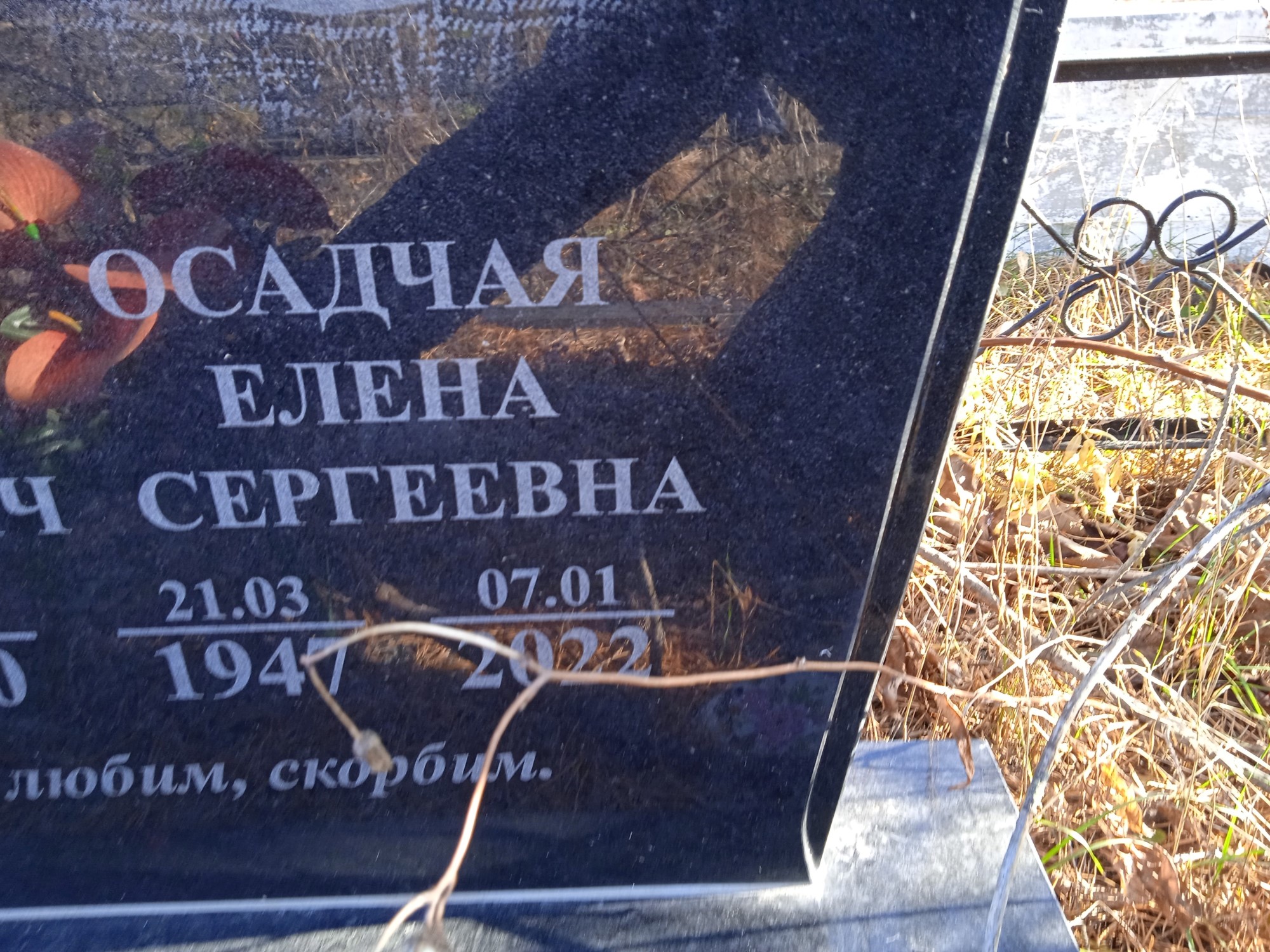 Осадчая Елена Сергеевна