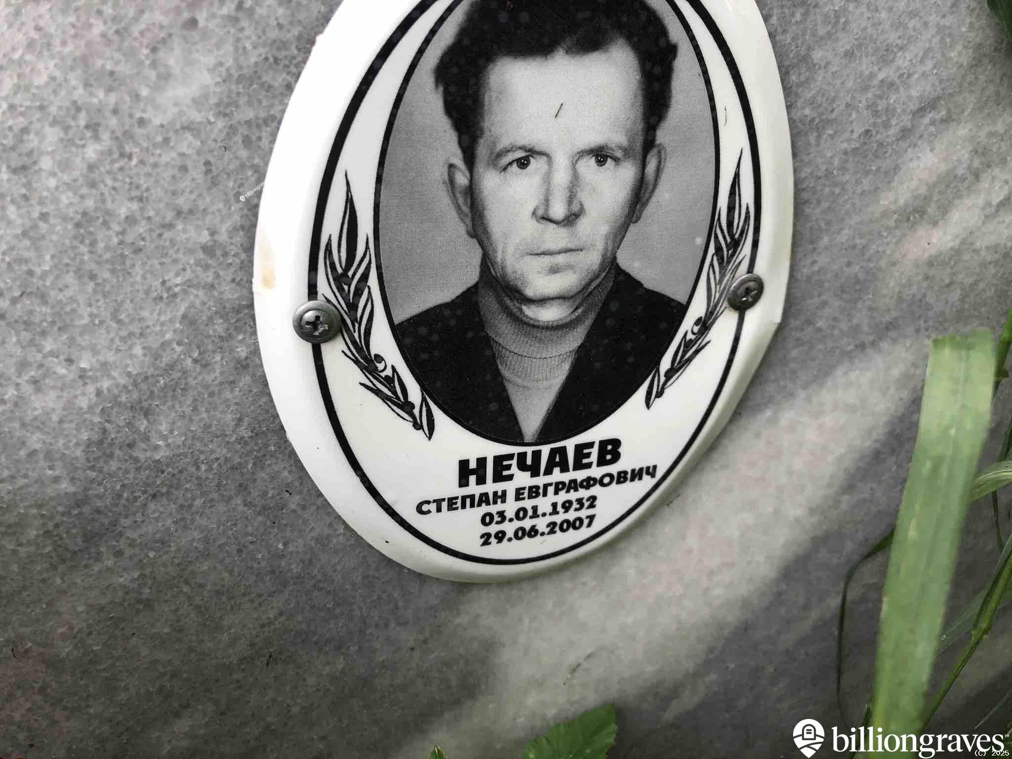 Нечаева Анна Зиновьевна