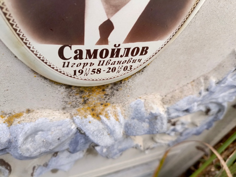 Самойлов