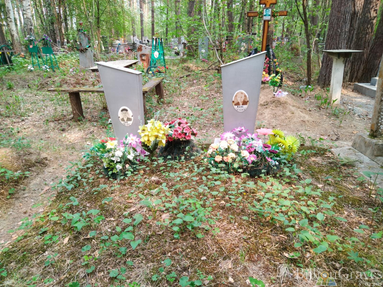 Ежова Анна Дмитриевна
