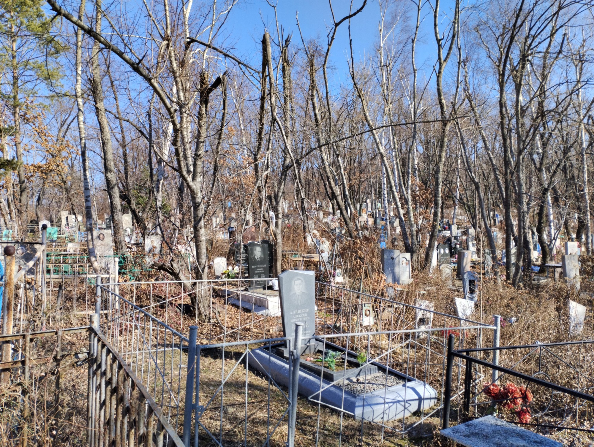 Алешкин Алексей Никитович