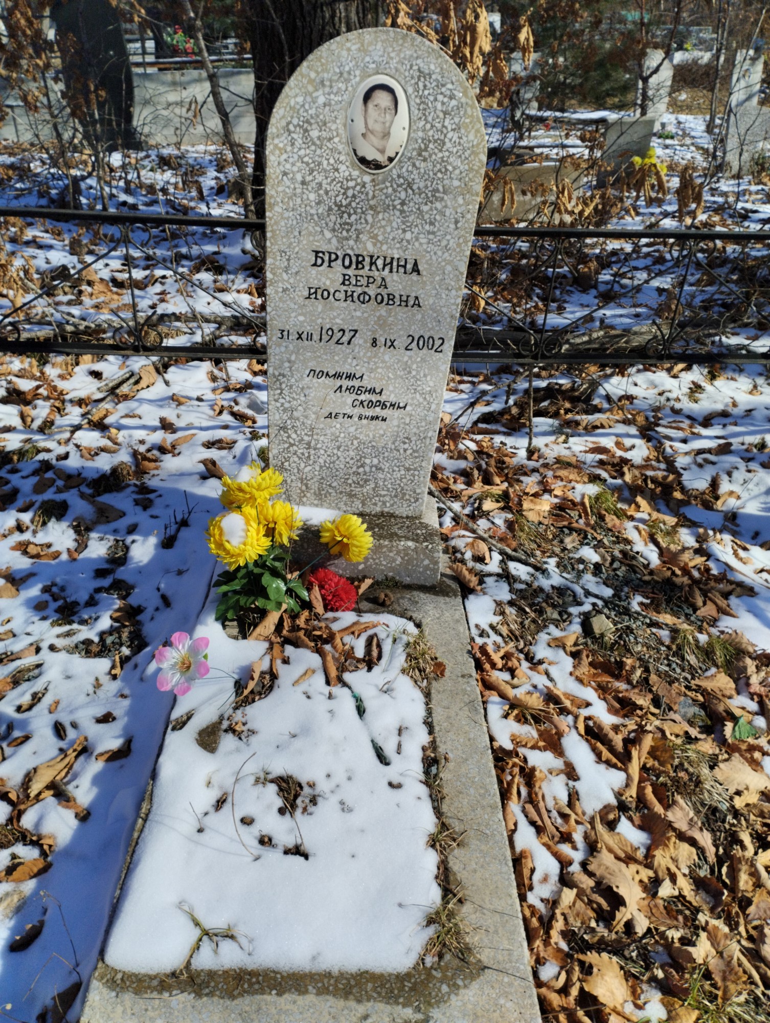 Бровкина Вера Иосифовна