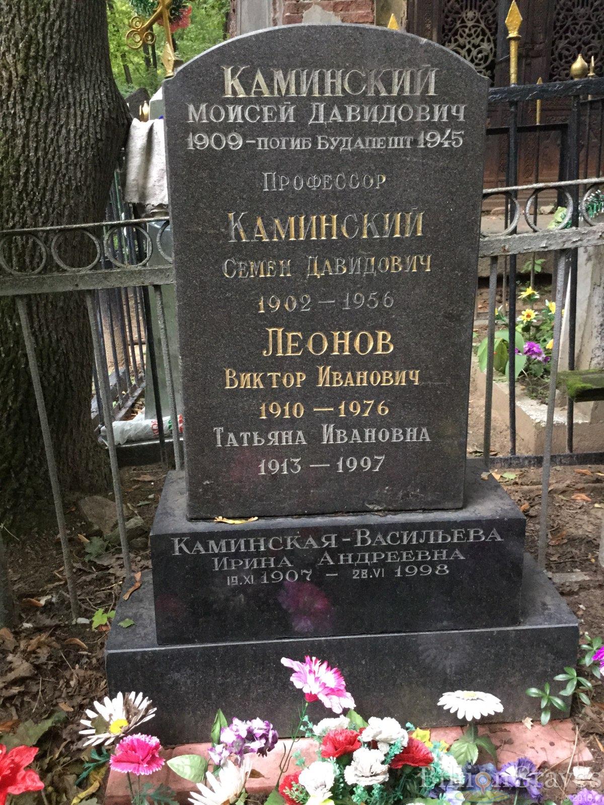 Каминская-Васильева Ирина Андреевна