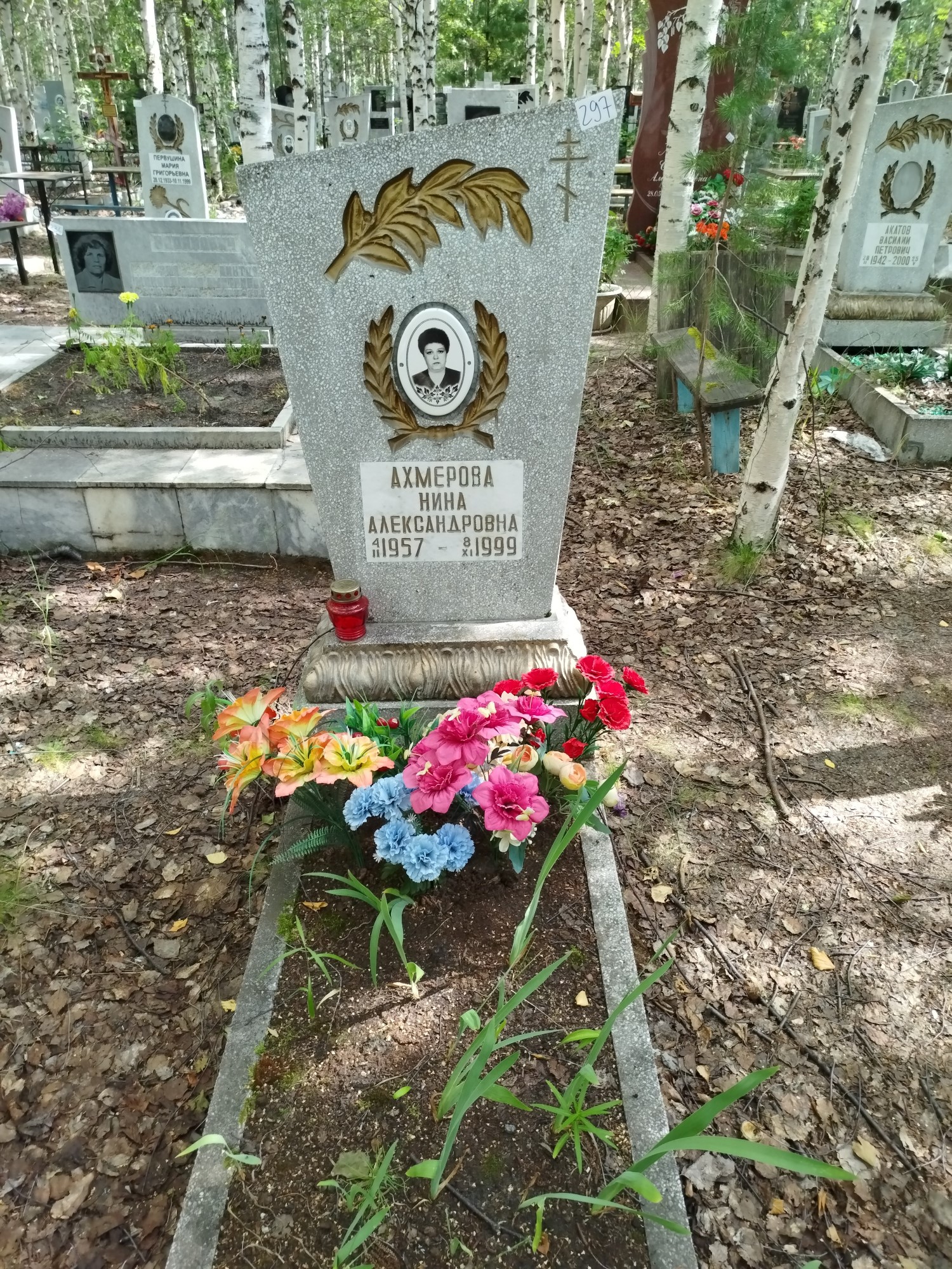 Ахмерова Нина Александровна