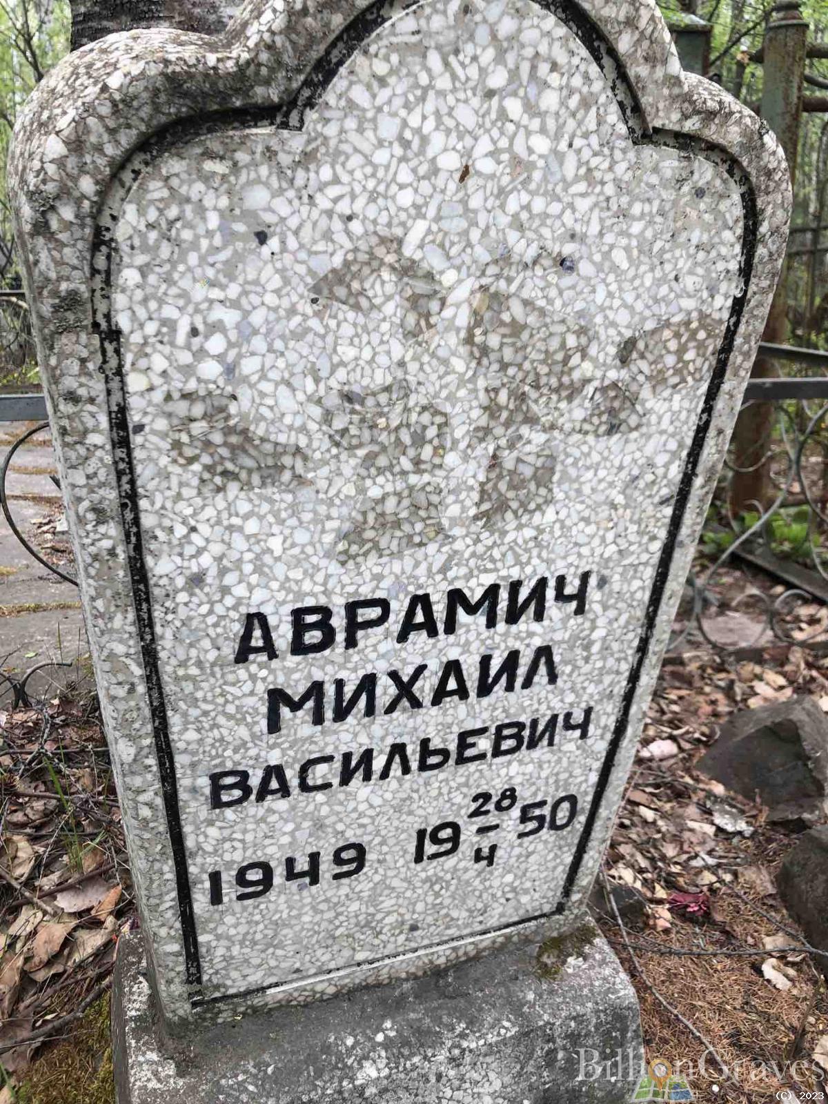 Аврамич Михаил Васильевич