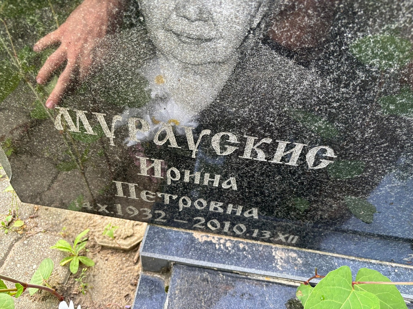 Мураускис
