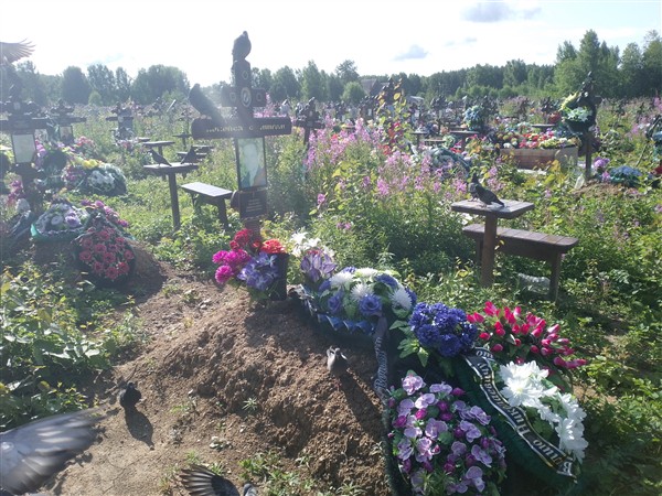 Педорич Василий Николаевич