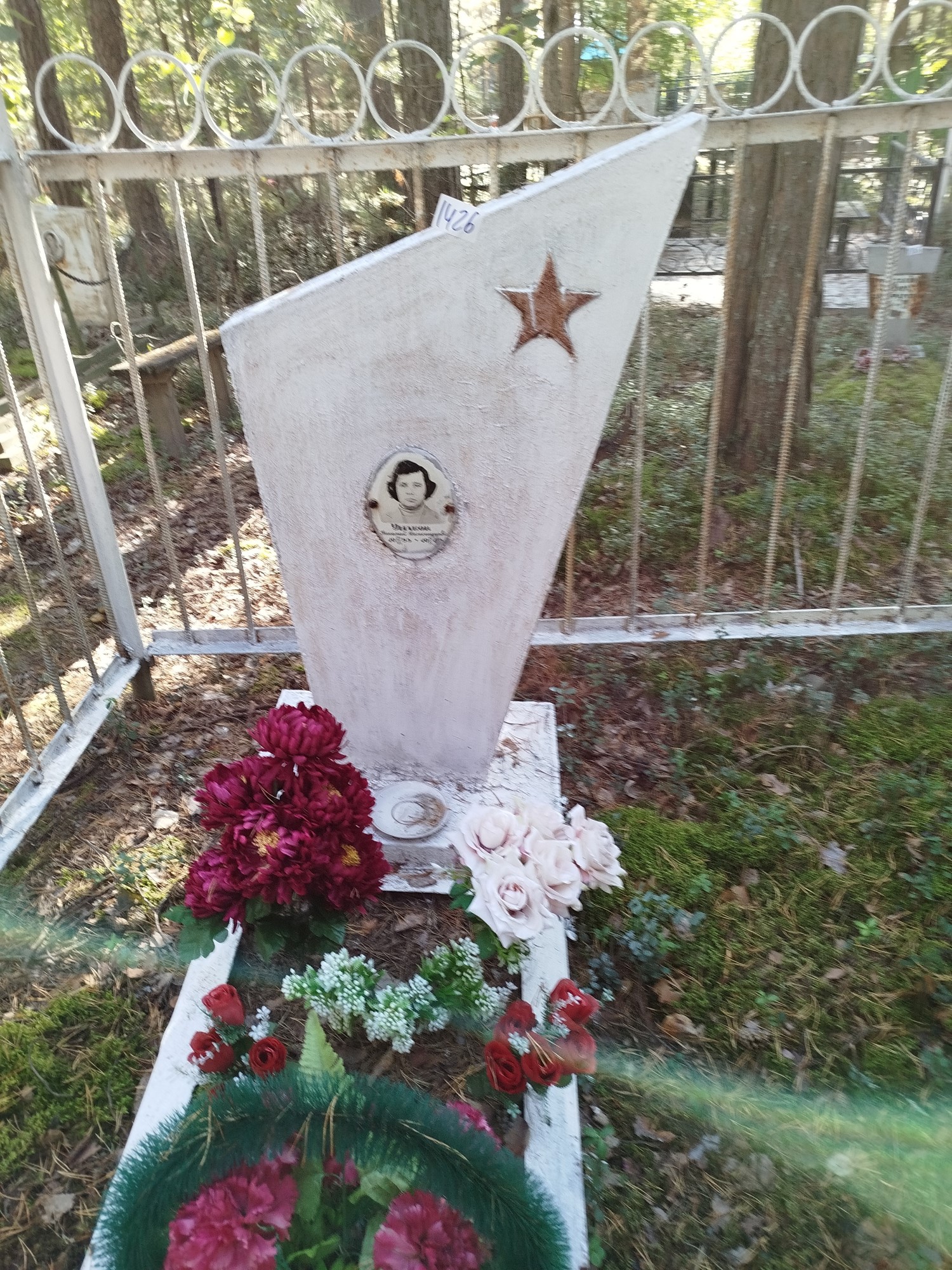 Ушаков Николай Александрович