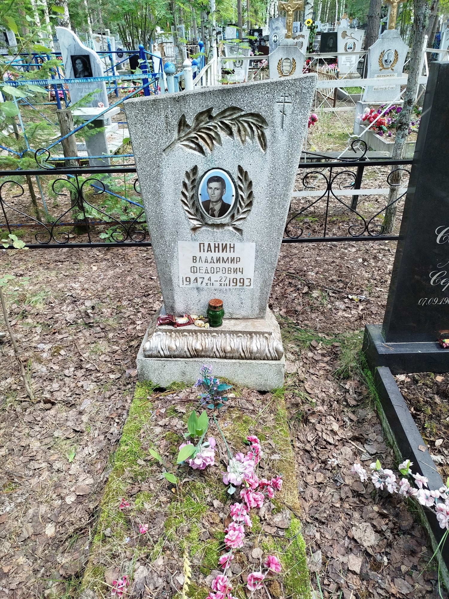Панин Владимир Федорович