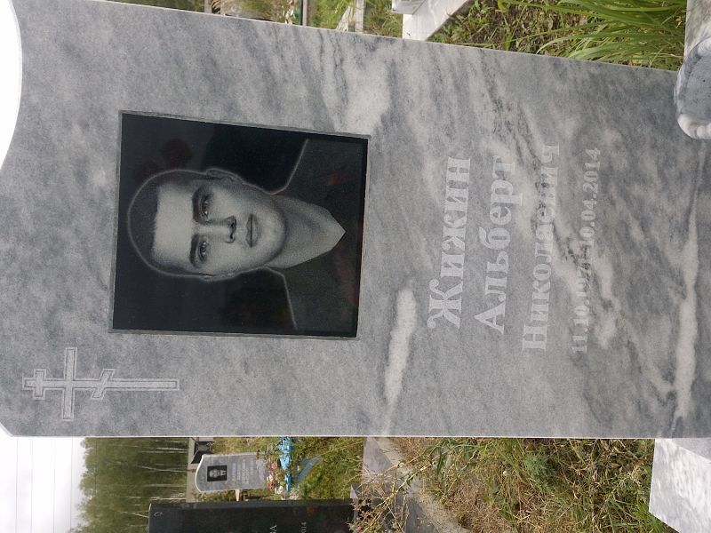 Альберт Жижин Николаевич