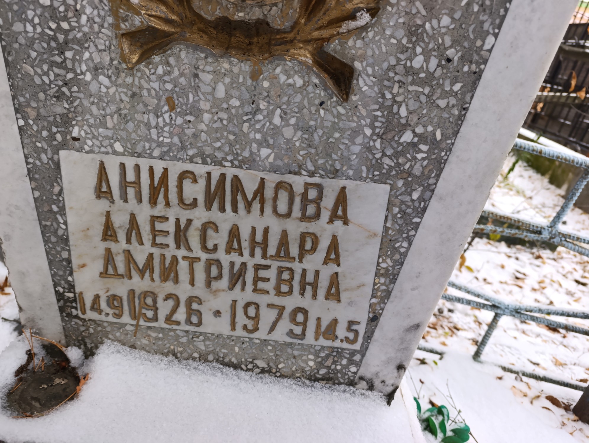 Анисимова Александра Дмитриевна