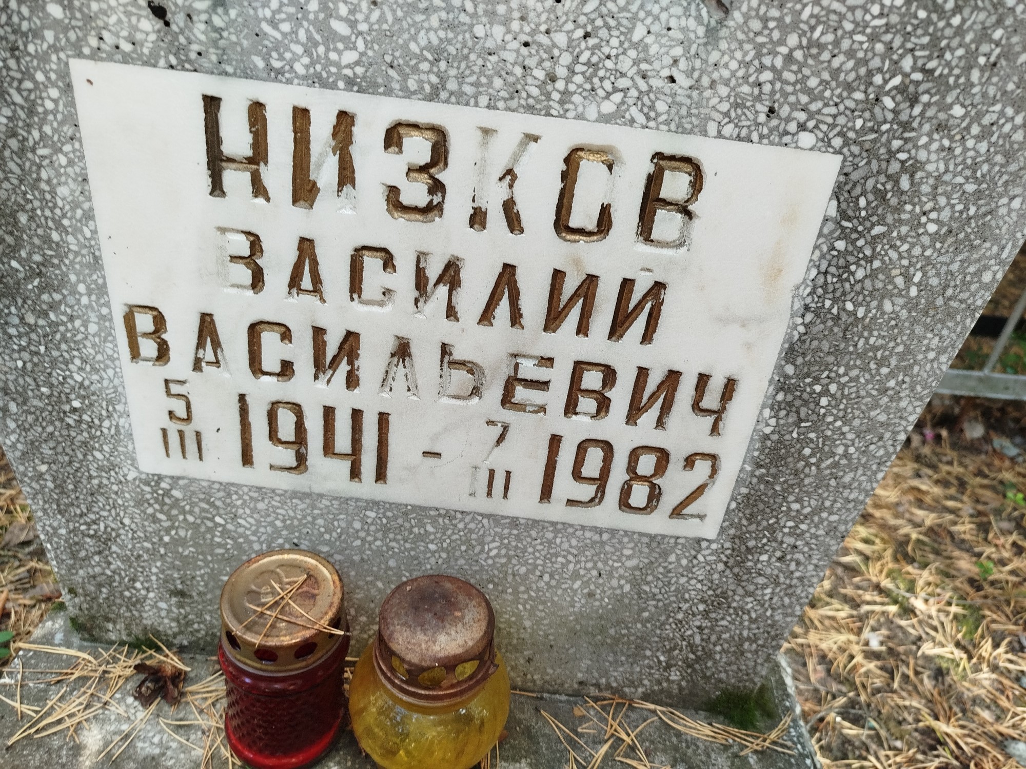 Низков Василий Васильевич