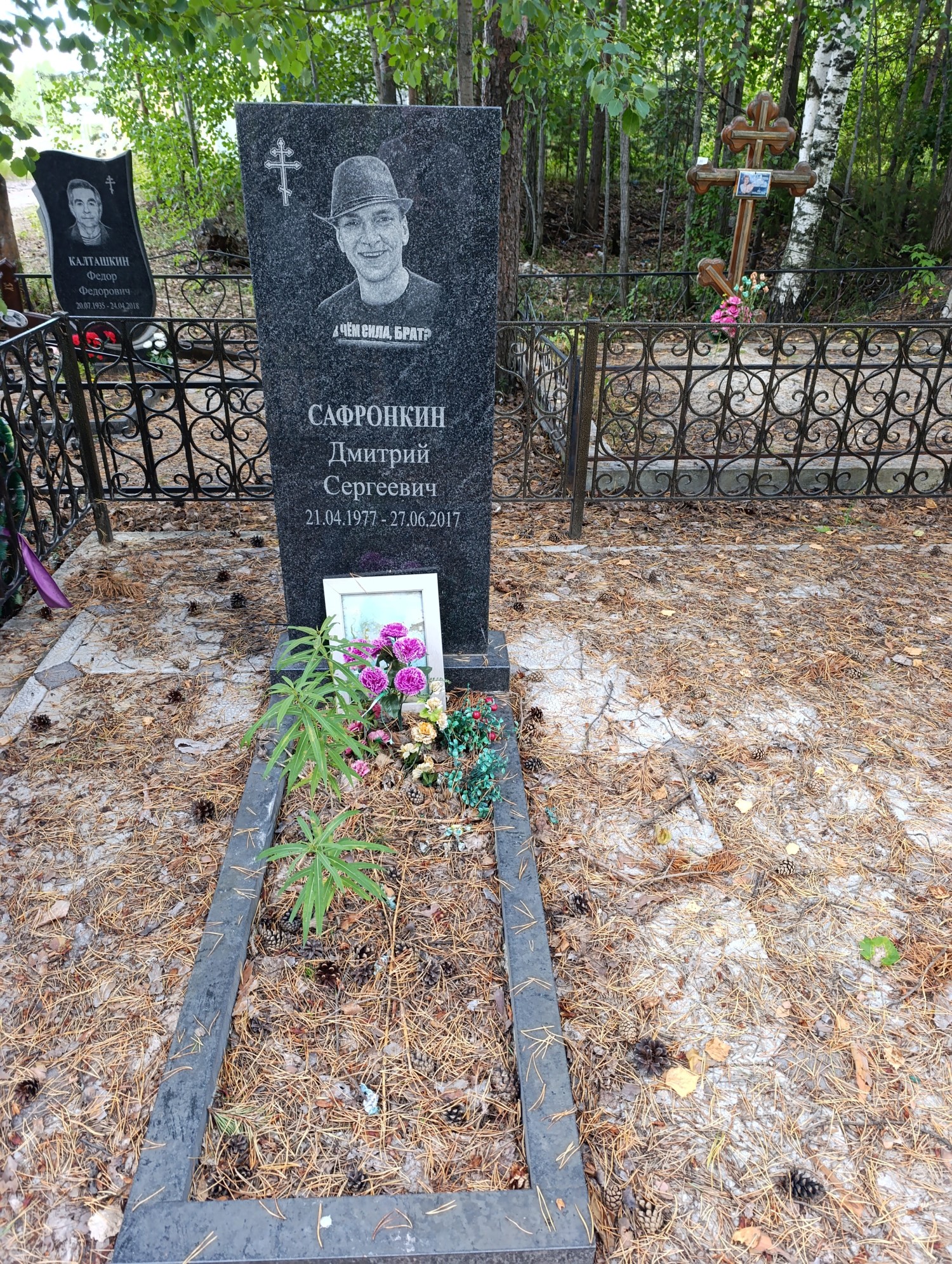 Сафронкин Дмитрий Сергеевич