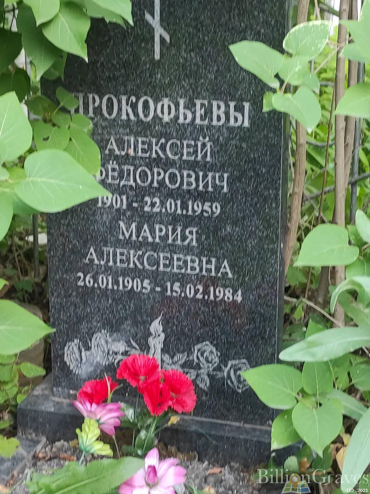 Прокофьева Мария Алексеевна