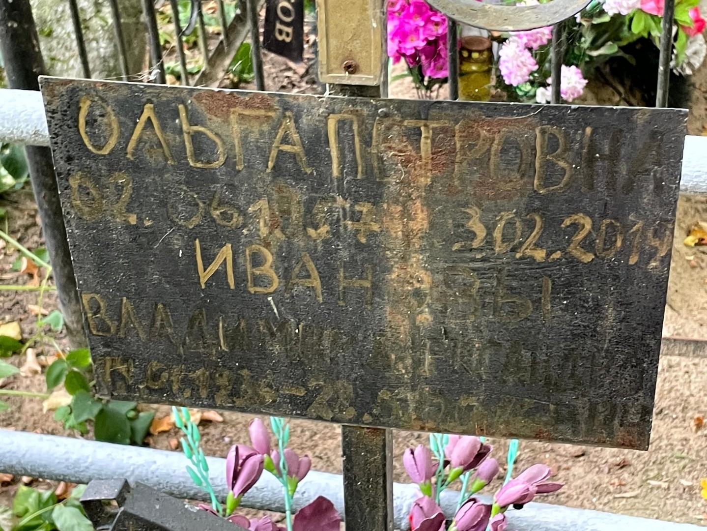 Петрова Петрова