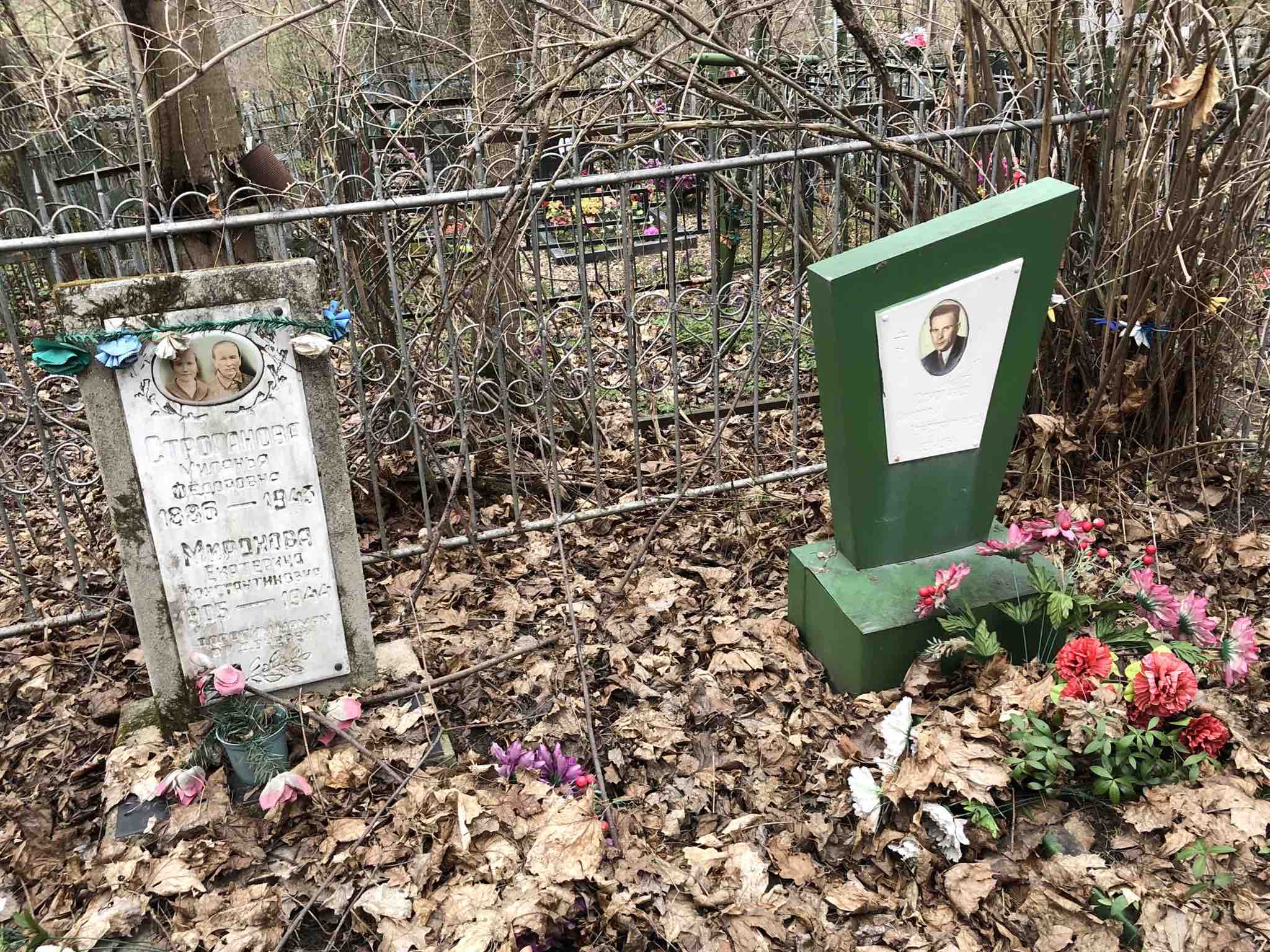 Строганов Николай Константинович