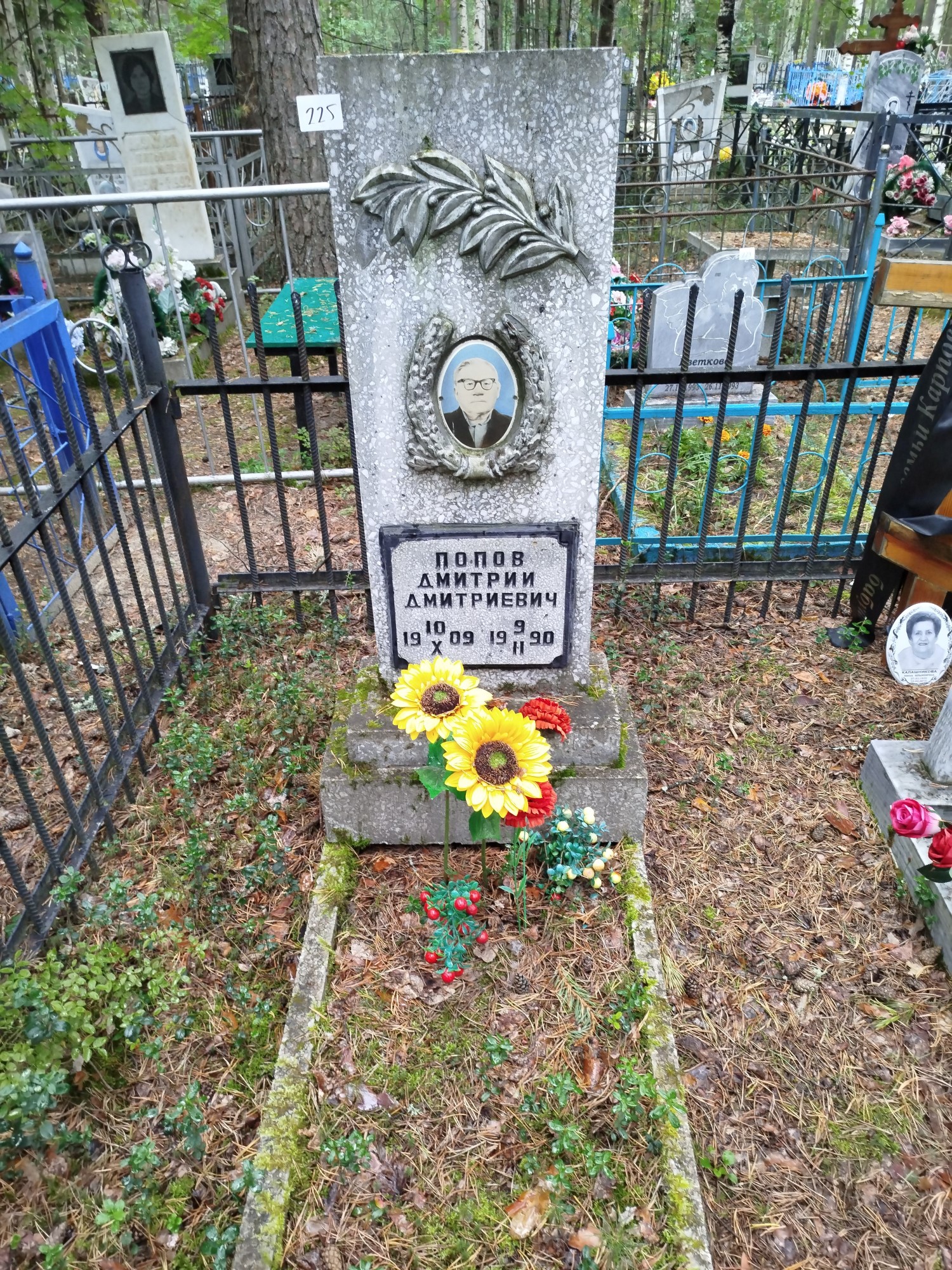 Попов Дмитрий Дмитриевич
