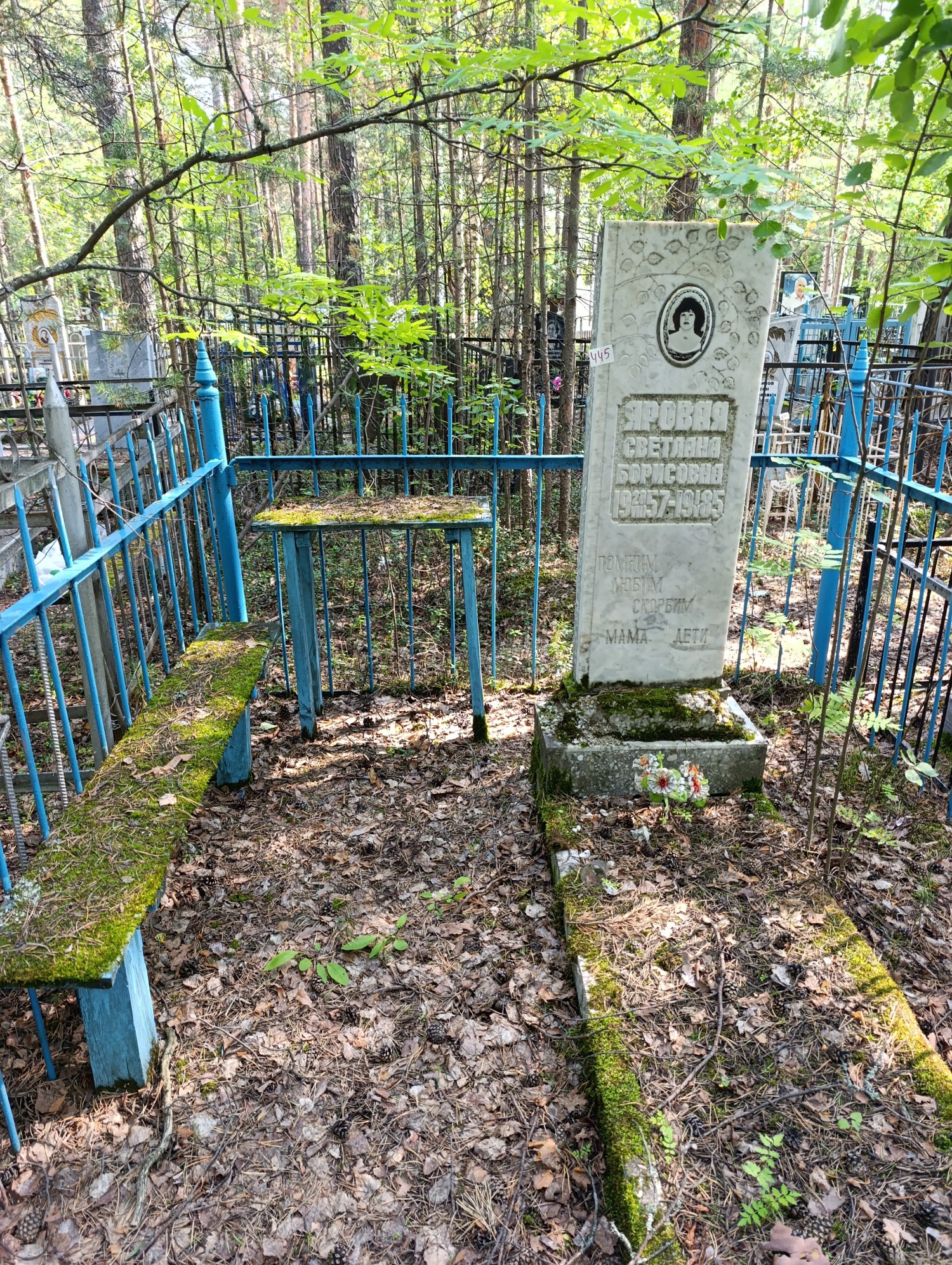Яроая Светлана Борисовна