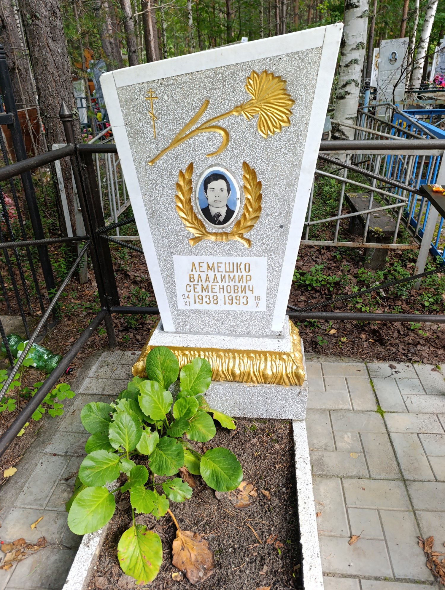 Лемешко Владимир Семенович