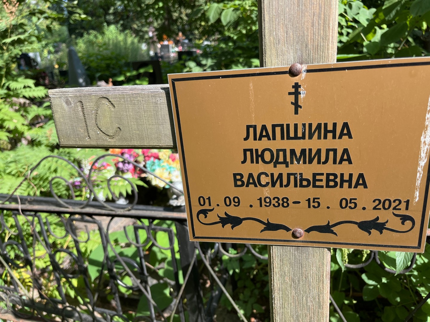 Лапшина